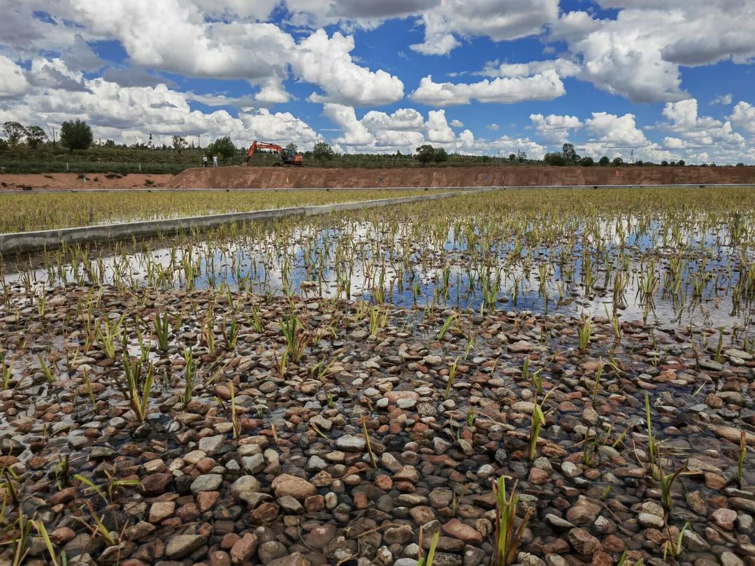 內蒙古杭錦旗錫尼鎮污水處理廠 內蒙古杭錦旗錫尼鎮污水處理廠.jpeg